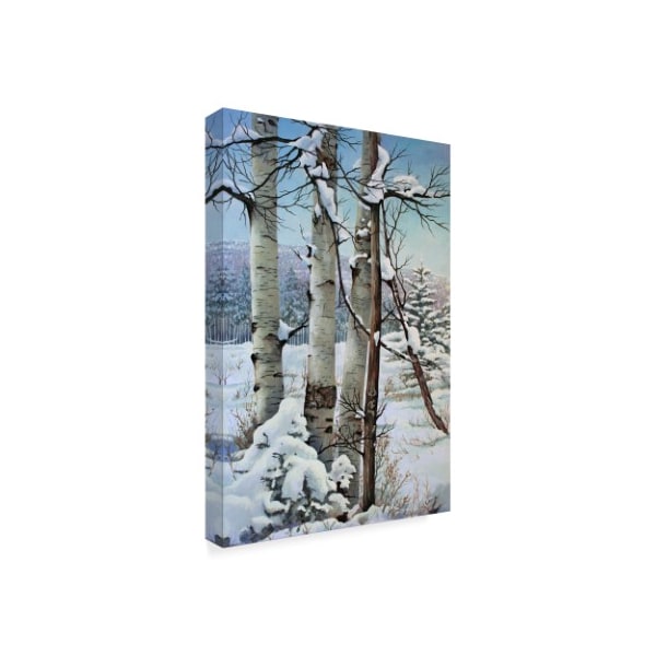 Carol J Rupp 'Winter Snow With Aspen' Canvas Art,12x19